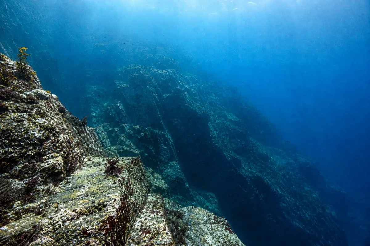 Representative habitat for Ocean Whitefish